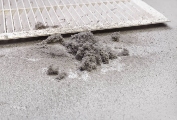 Best Home Air Vent Cleaning  in Pierce City, MO