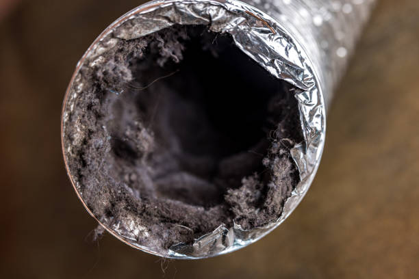 Best Professional Duct Cleaning Services  in Pierce City, MO
