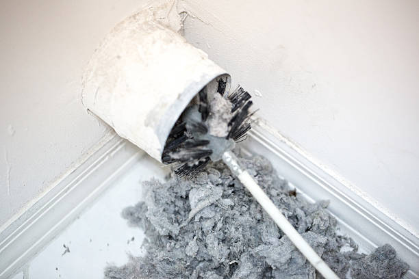 Best Affordable Duct Cleaning Services  in Pierce City, MO